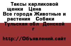 Таксы карликовой щенки › Цена ­ 20 000 - Все города Животные и растения » Собаки   . Тульская обл.,Донской г.